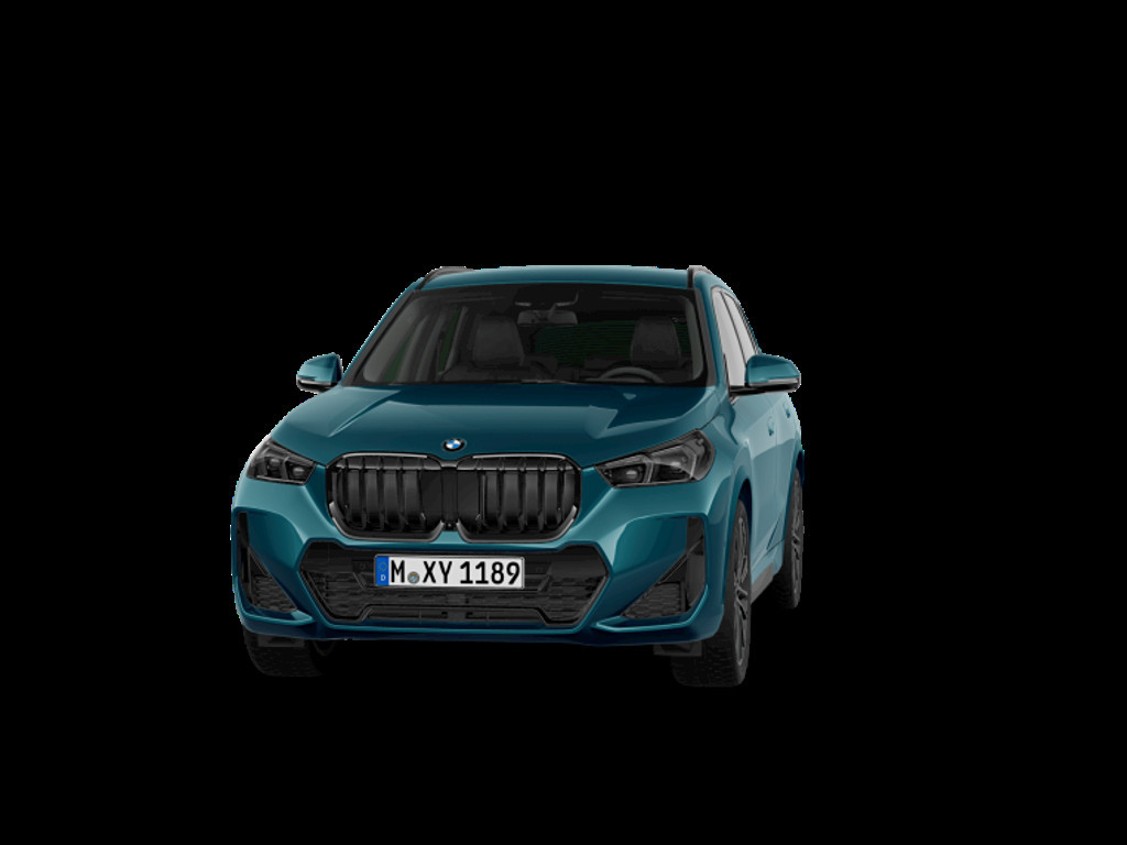 BMW X1 X1 23D X1 xDrive23d