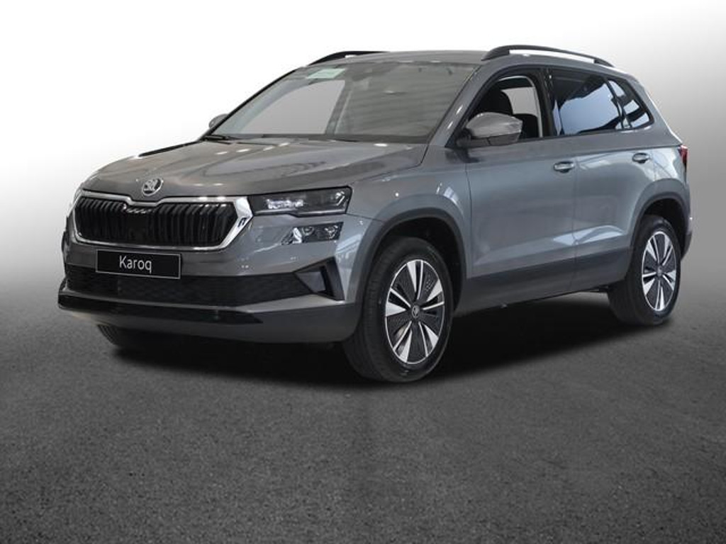 Skoda Karoq Balance 1,5 TSI DSG AHK Navi ACC SHZ Kamer