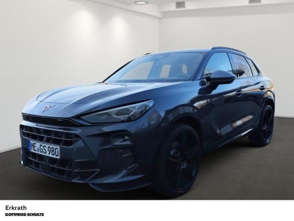 Cupra Terramar 2.0 TSI VZ