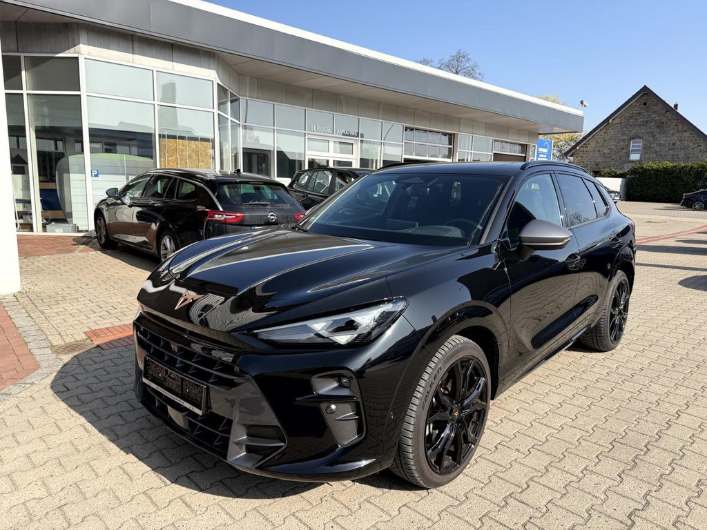 Cupra Terramar 2.0 TSI