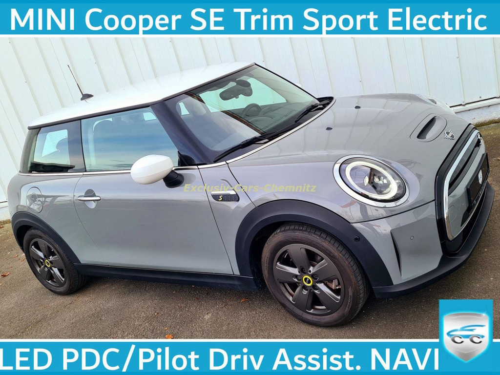 Mini Mini Electric SE