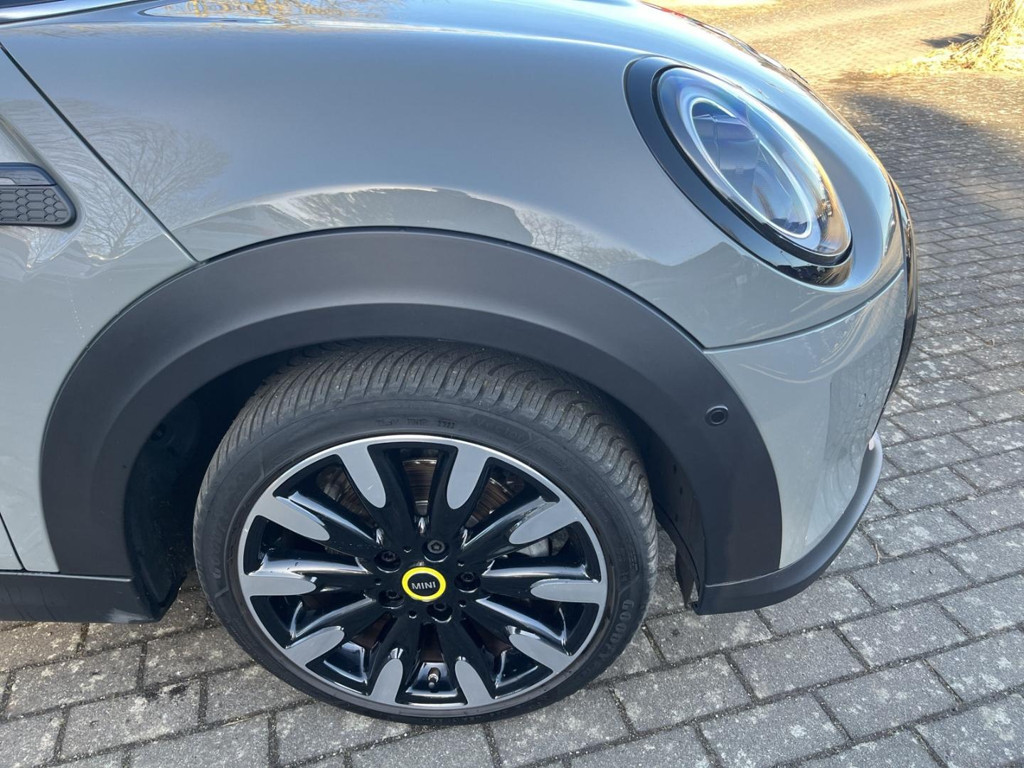 Mini Mini Electric