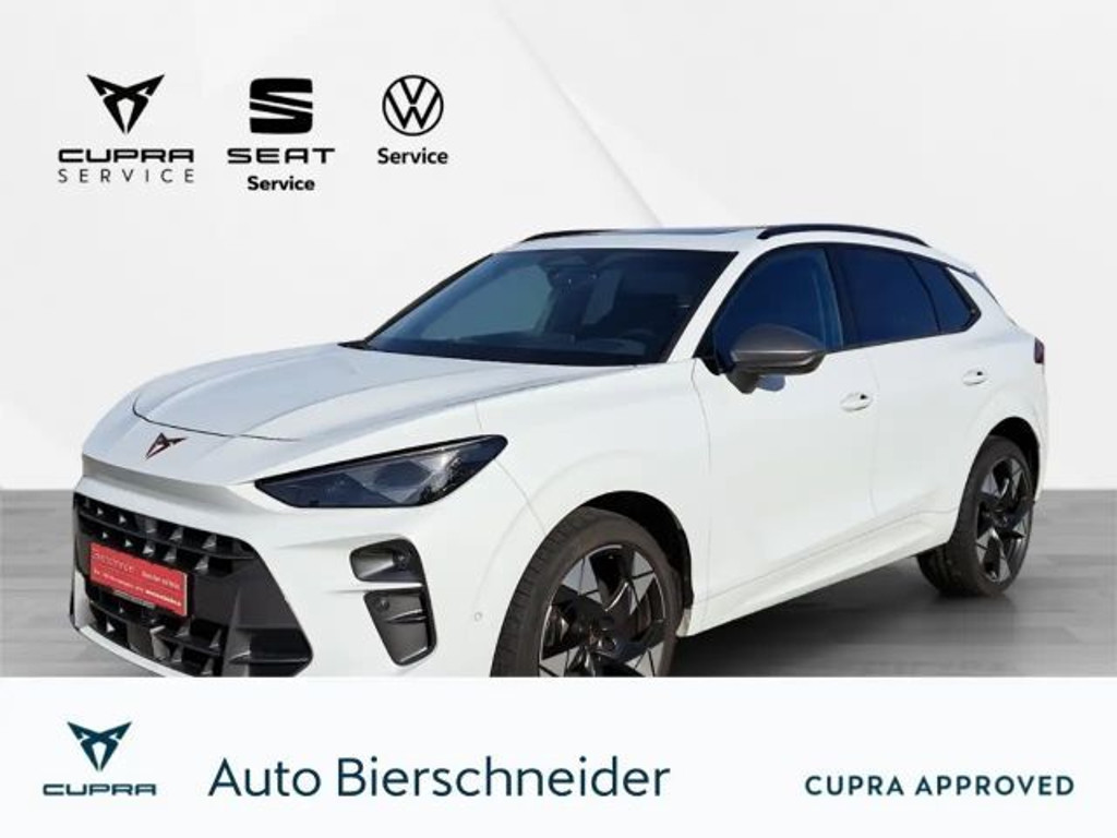 Cupra Terramar 2.0 TSI VZ