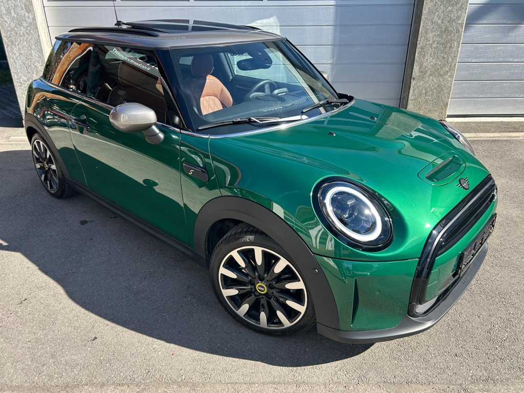 Mini Mini Electric