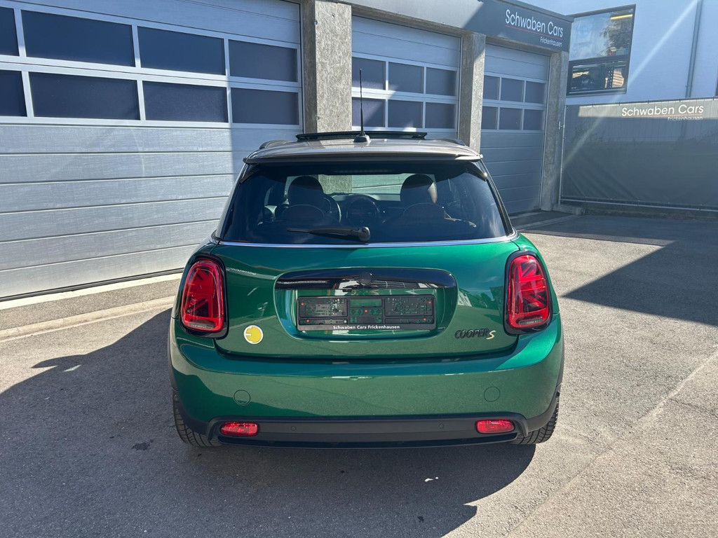 Mini Mini Electric