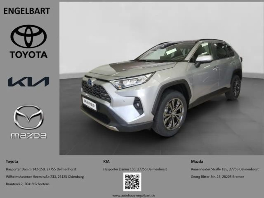 Toyota RAV4 Team D 4x2 Hybride Technik