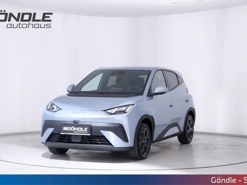 BYD Dolphin Surf Comfort