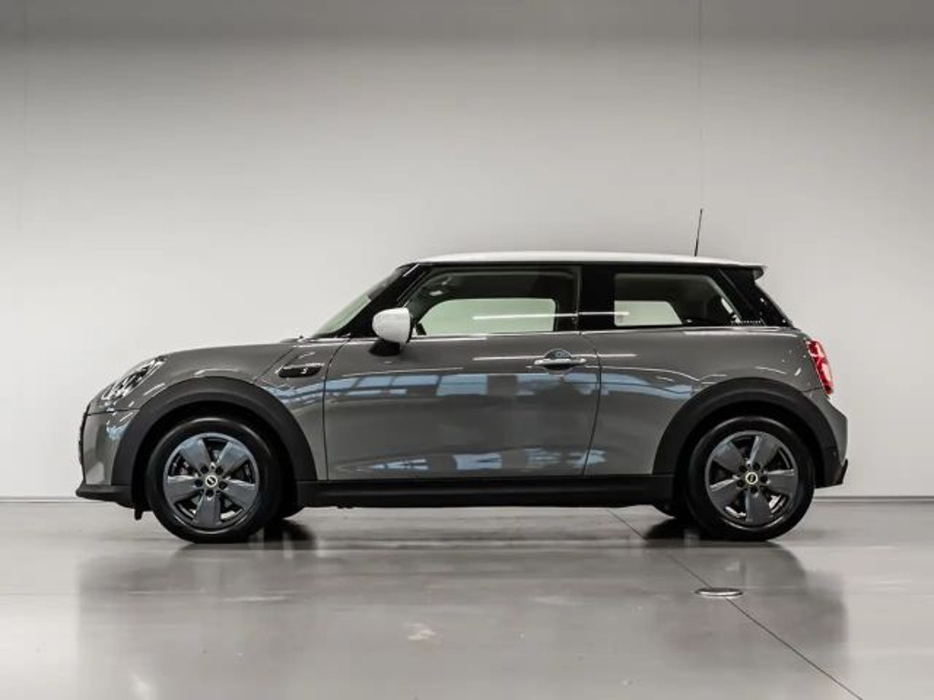 Mini Mini Electric