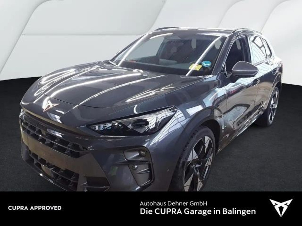 Cupra Terramar 2.0 TSI VZ