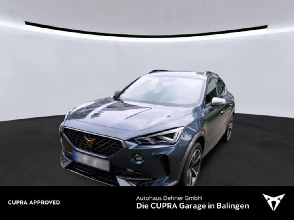 Cupra Formentor 4Drive 2.0 TSI DSG