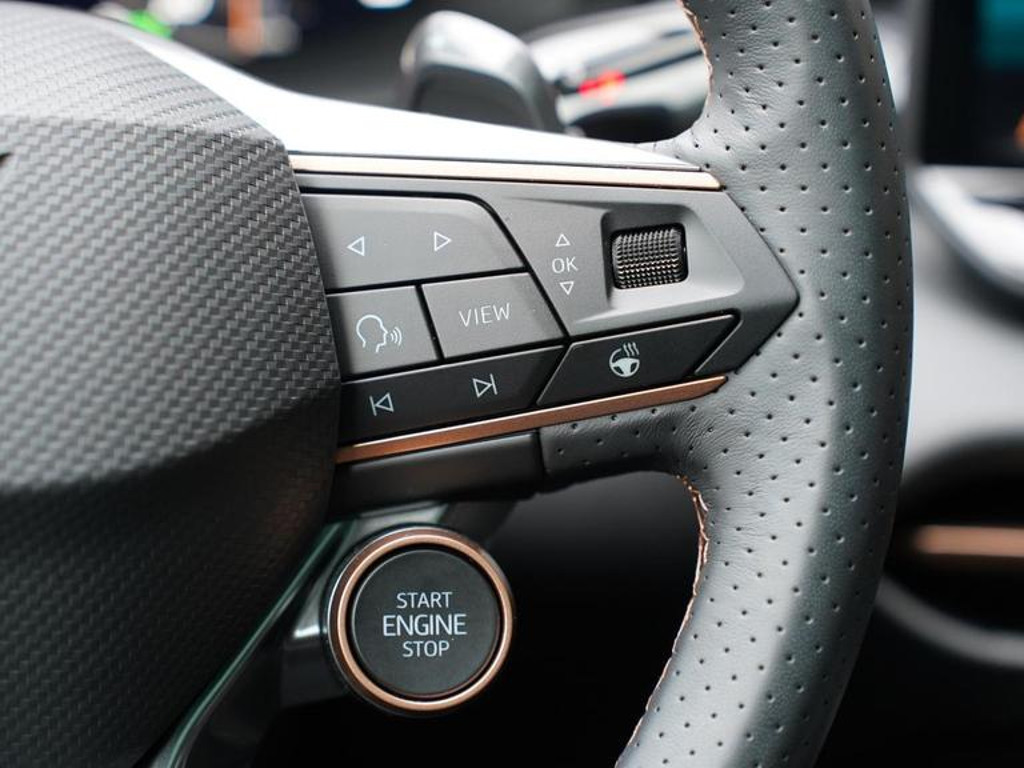 Cupra Terramar