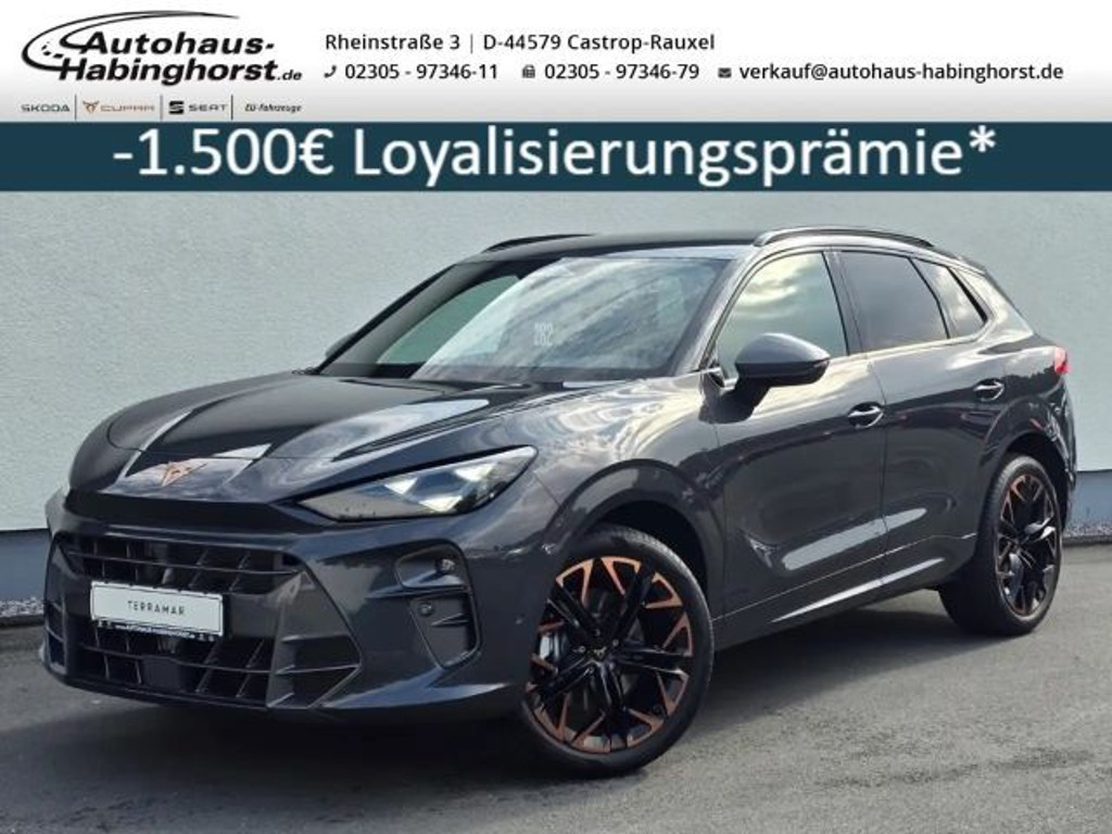 Cupra Terramar 2.0 TSI