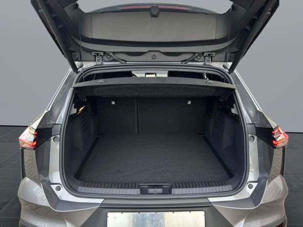 Mitsubishi Grandis