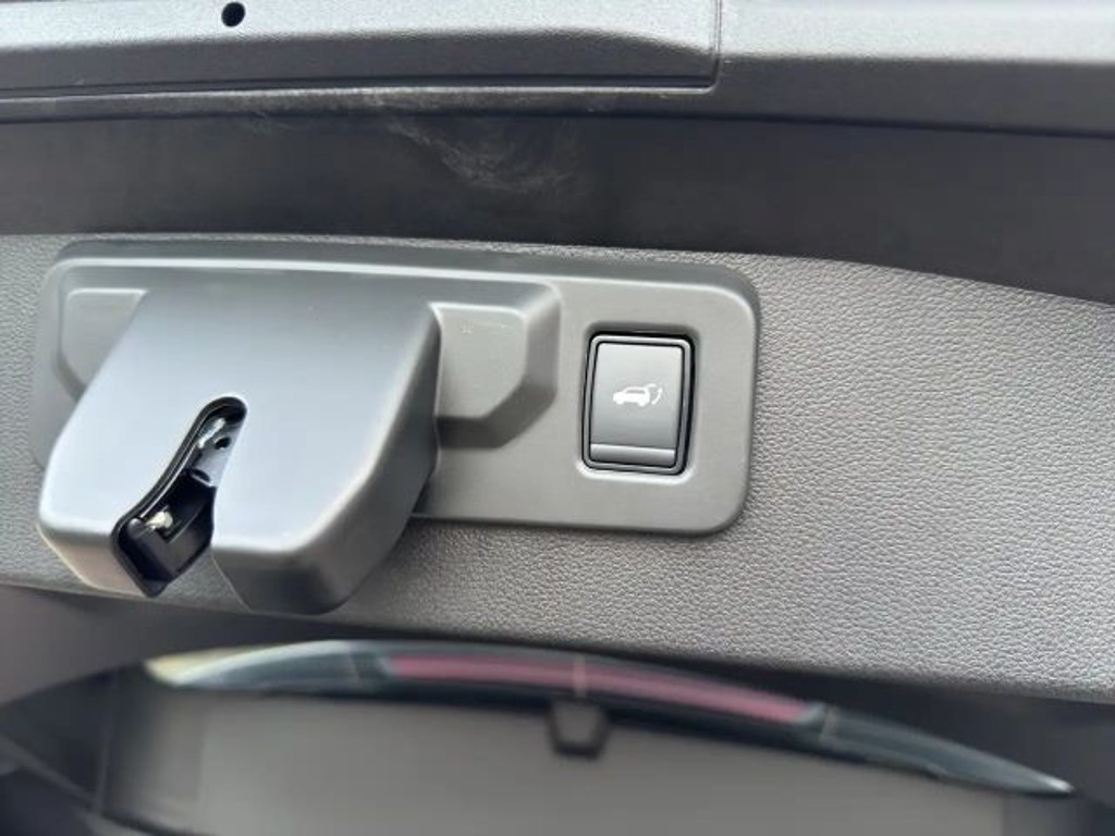 Mitsubishi Grandis