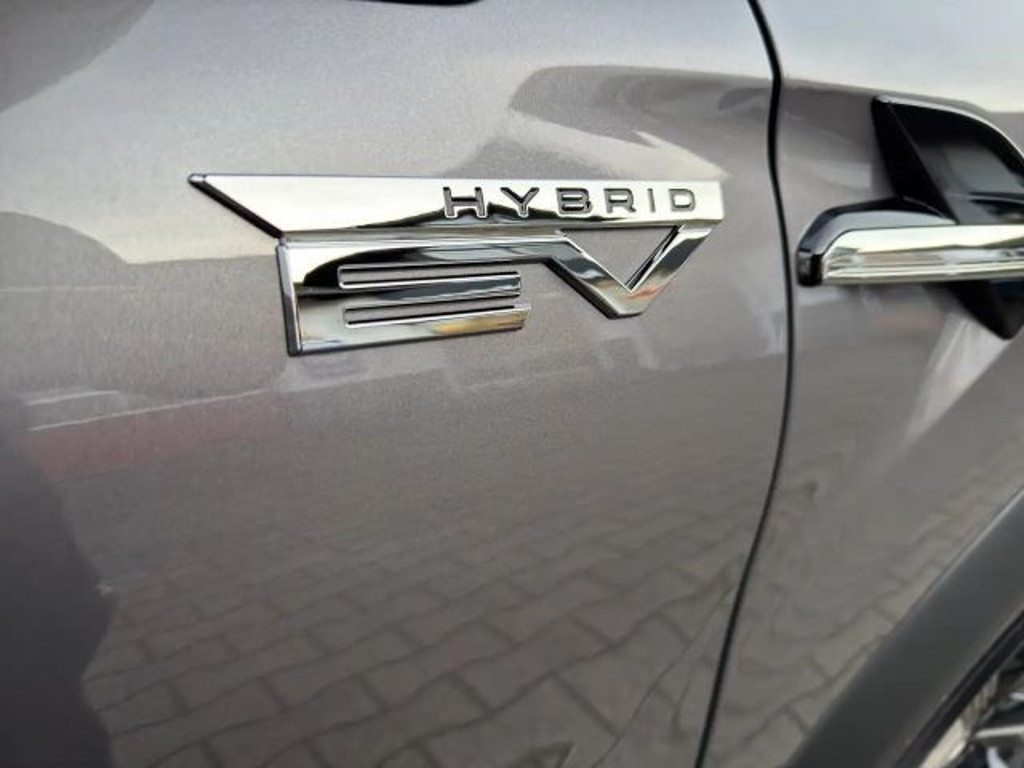 Mitsubishi Grandis
