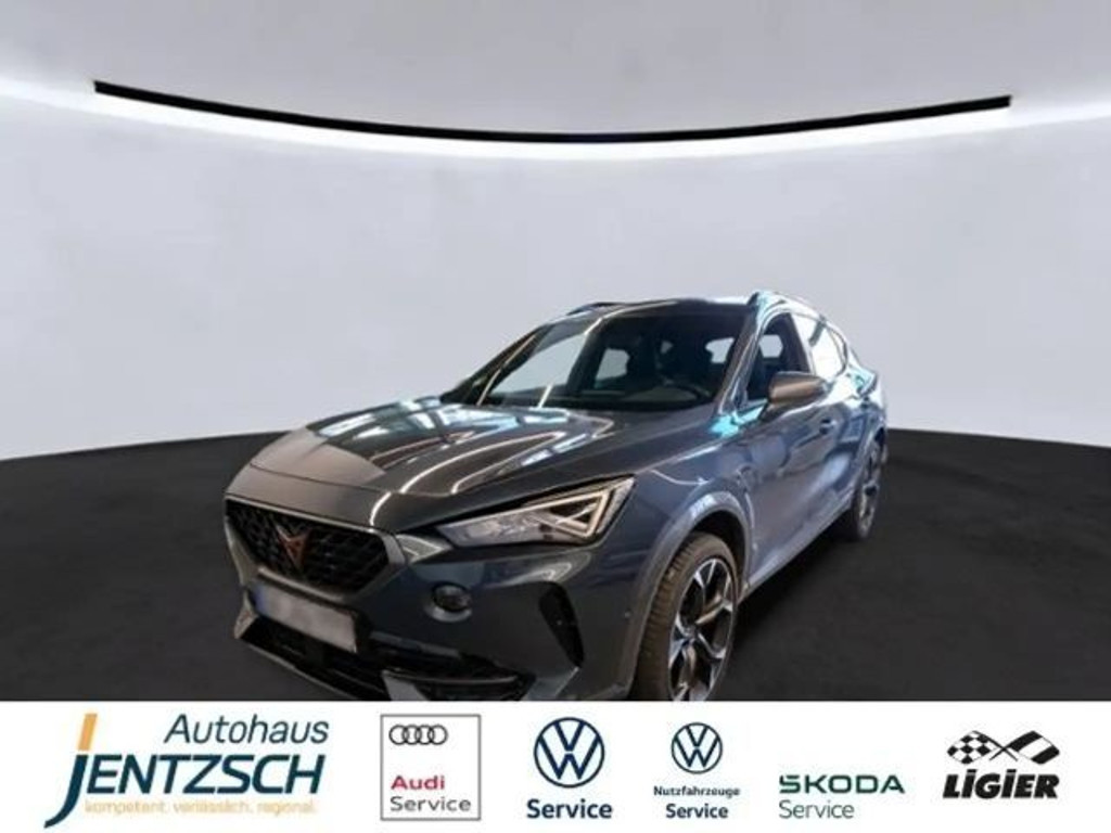 Cupra Formentor LED/RFK/19Zoll/Navi/Ambiente
