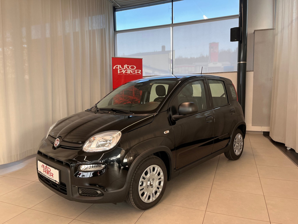 Fiat Panda Base