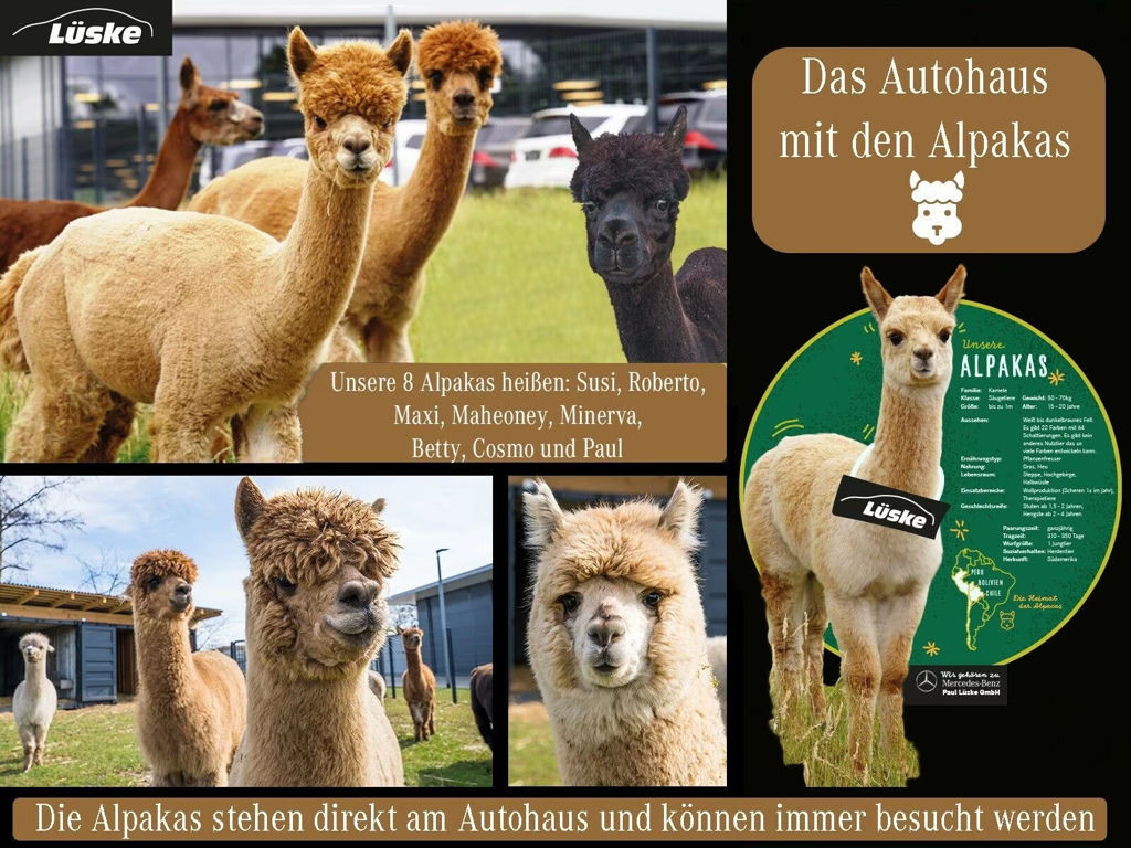 Mercedes-Benz SL-Klasse