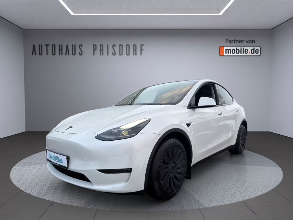 Tesla Model Y Long Range Dual Motor AWD