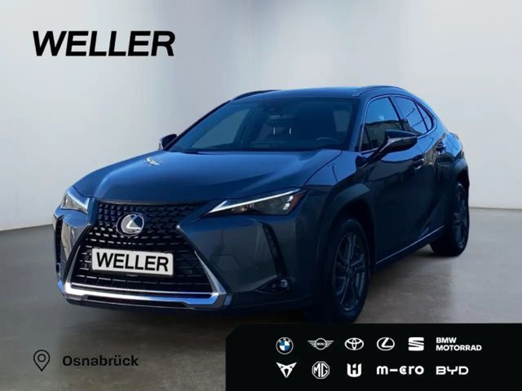 Lexus UX Executive Line 250h