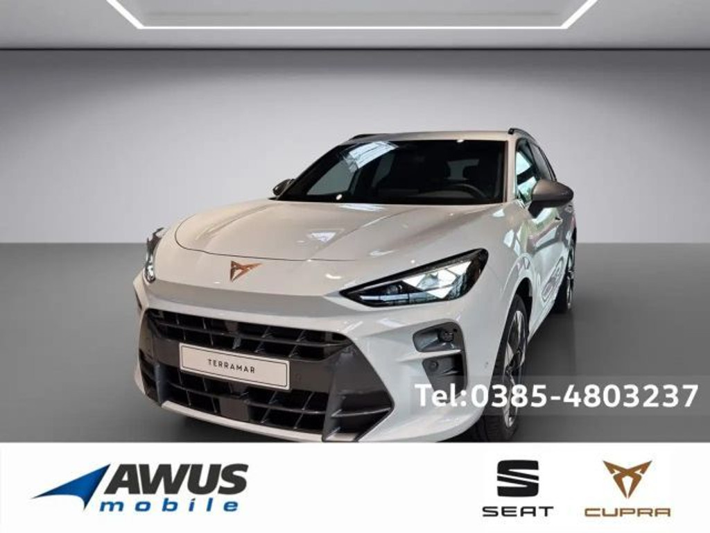 Cupra Terramar 2.0 TSI