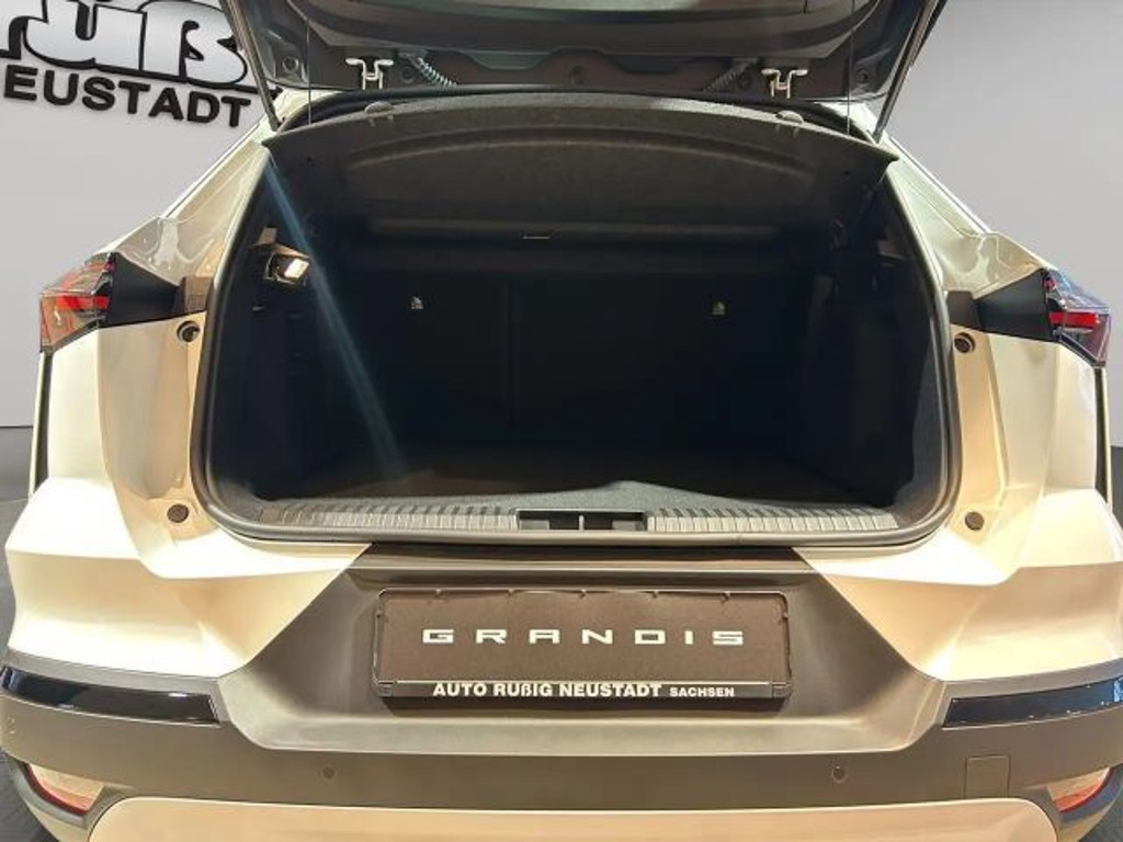 Mitsubishi Grandis