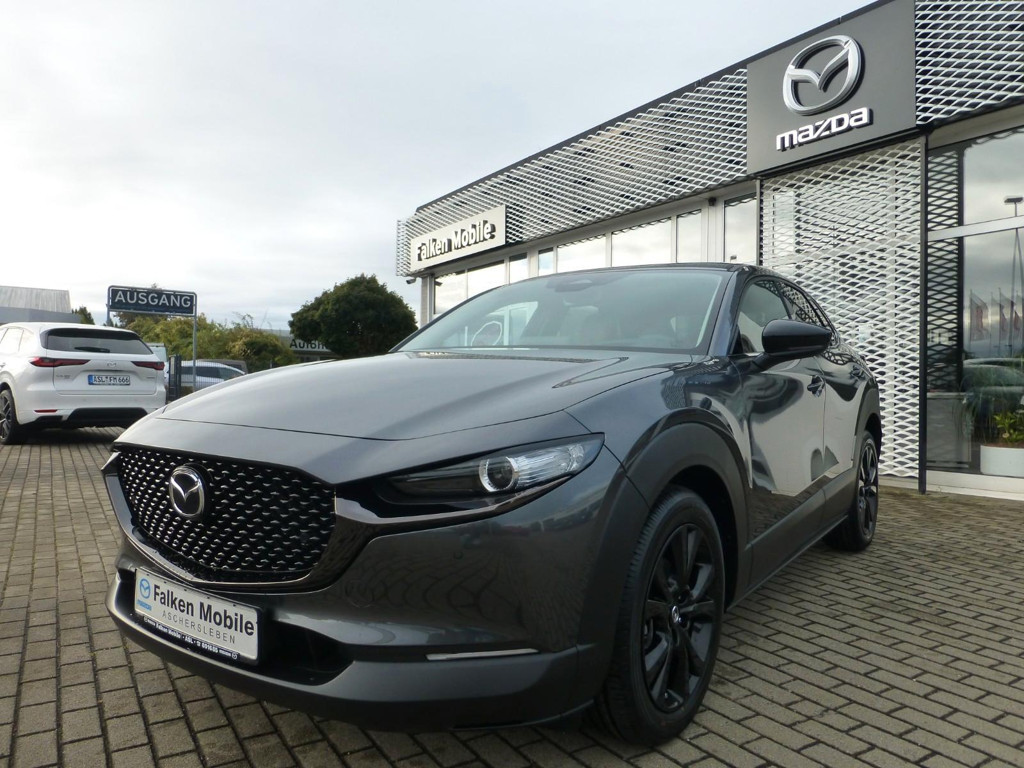 Mazda CX-3 0 Nagisa 2WD *KAMERA, BOSE, EL.HECKKLAPPE*