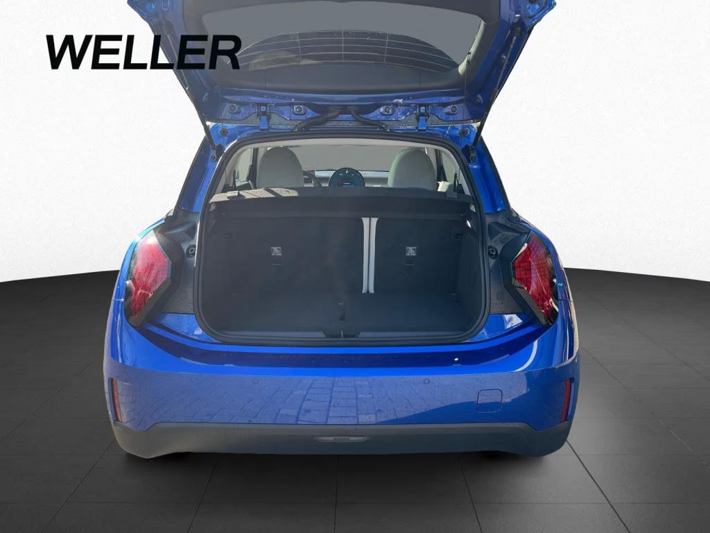 Mini Mini Electric