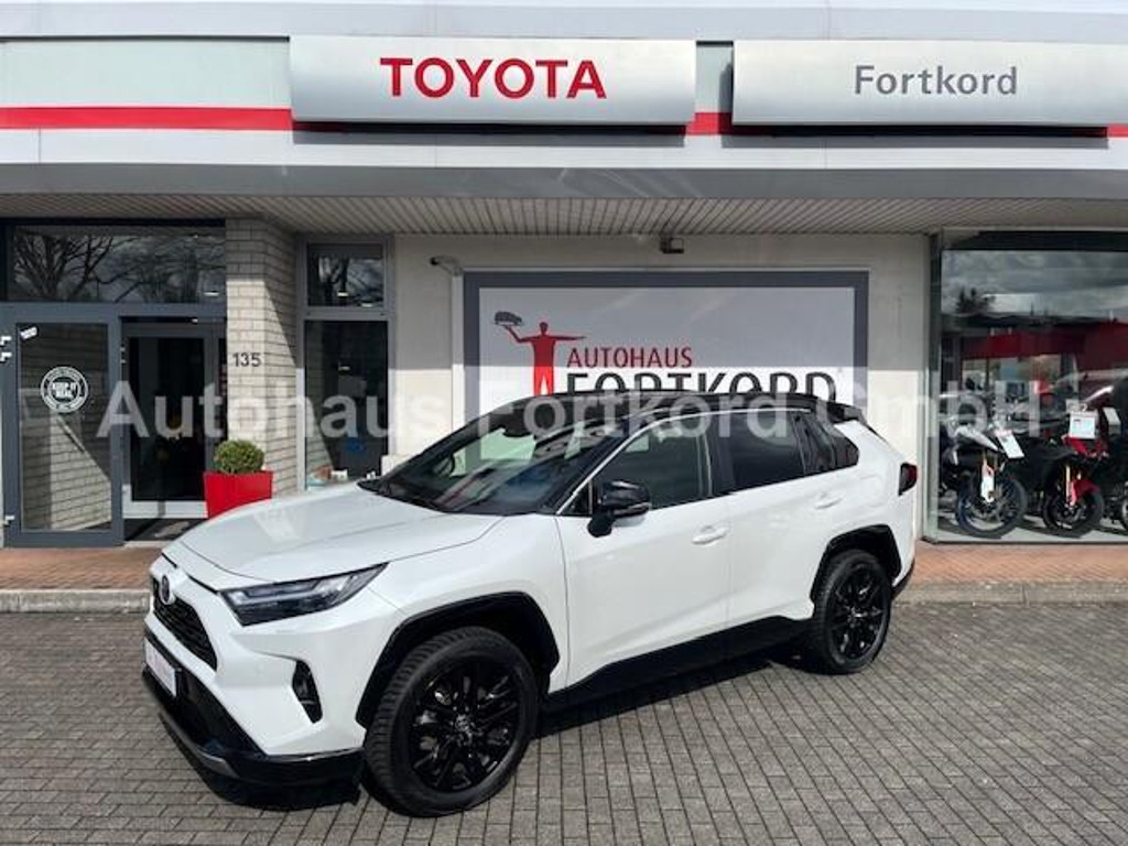 Toyota RAV4 Style Vierwielaandrijving Hybride