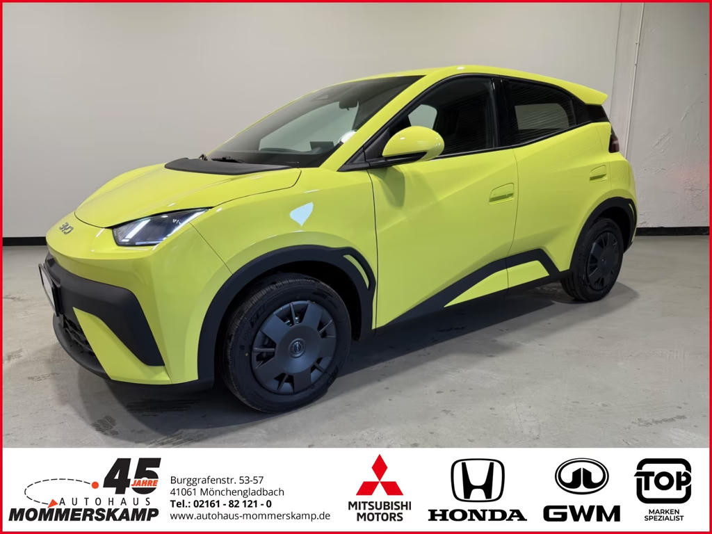 BYD Dolphin Dolphin Surf 65 kW Active+Rückfahrkam.+Klima+Led