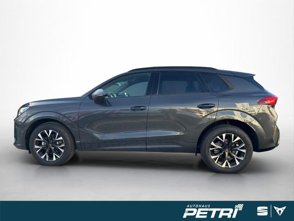 Cupra Terramar