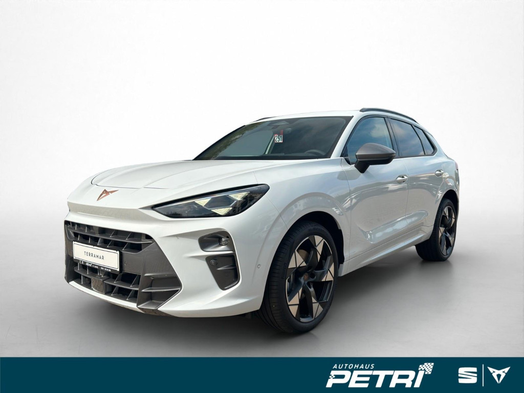 Cupra Terramar 2.0 TSI