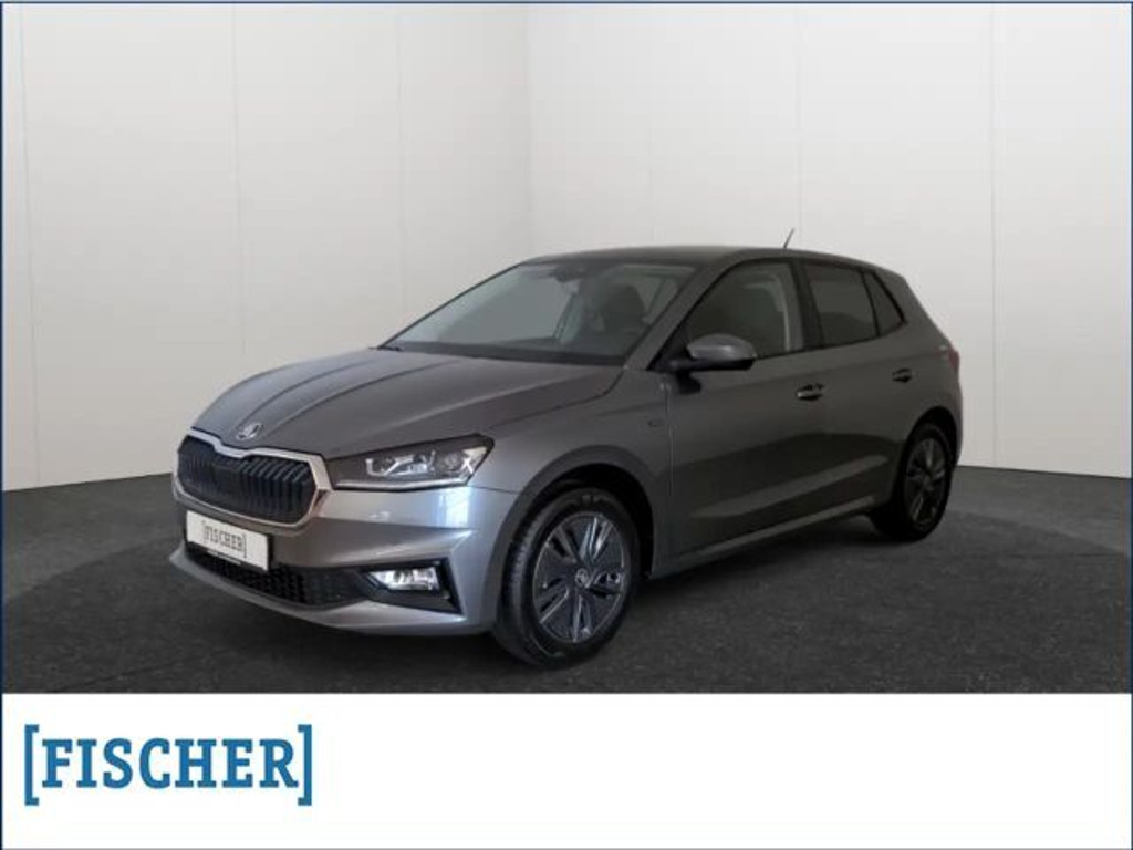 Skoda Fabia Tour