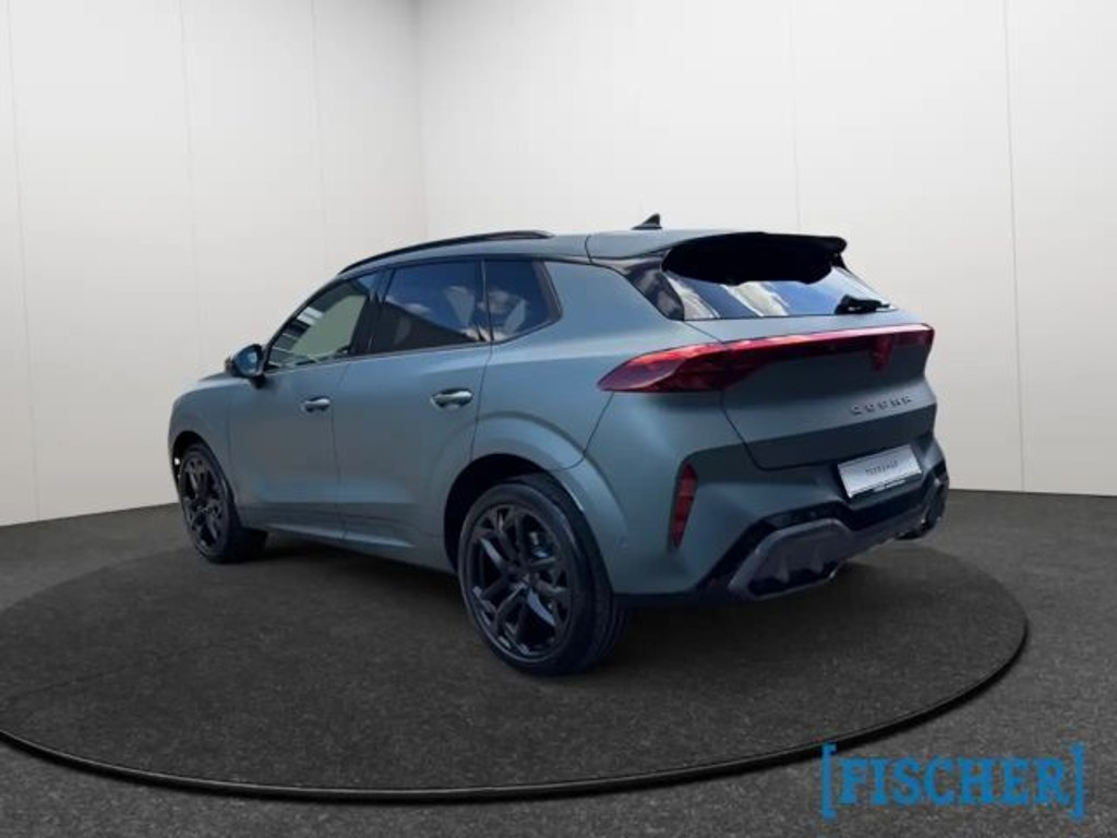 Cupra Terramar 2.0 TSI