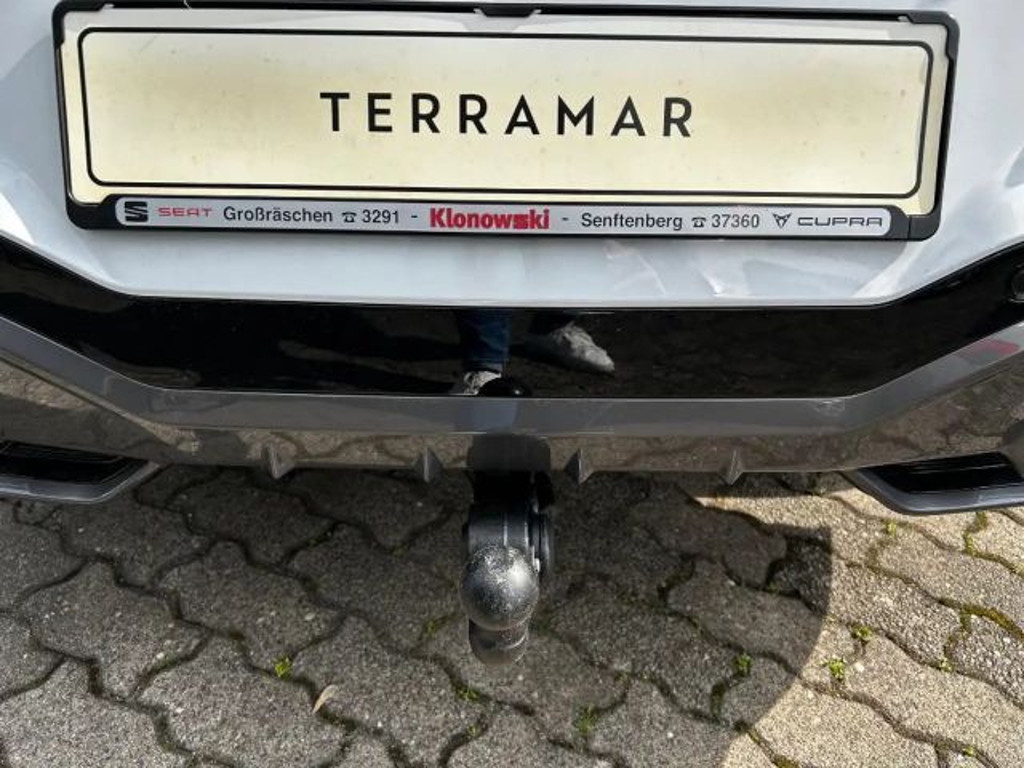 Cupra Terramar