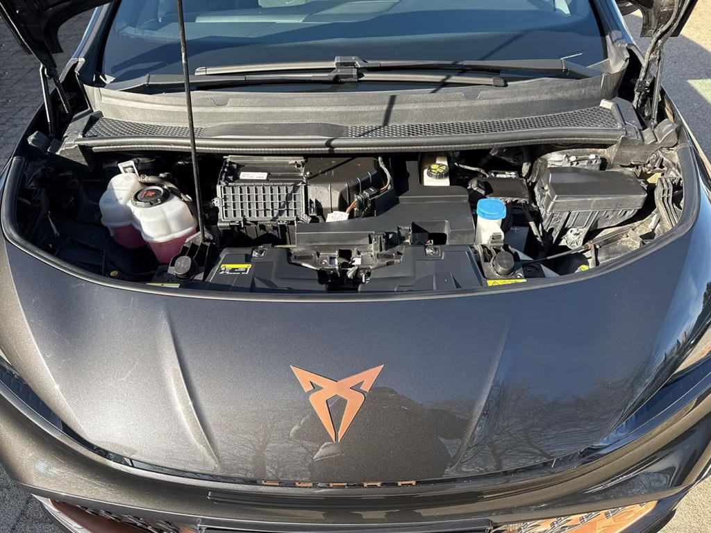 Cupra Born