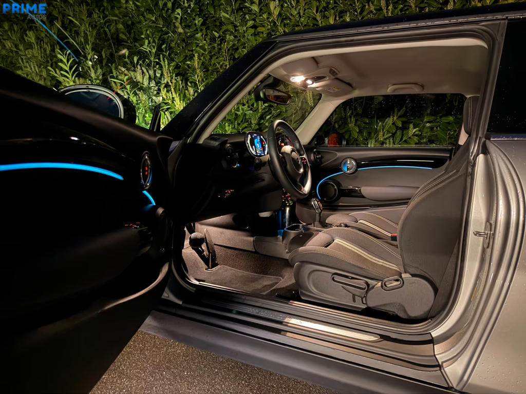 Mini Mini Electric