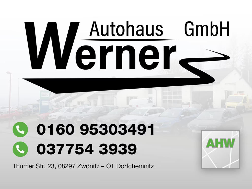 Skoda Kamiq 116PS DSG 130 Jahre Climatronic KAMERA+PDC LM17"