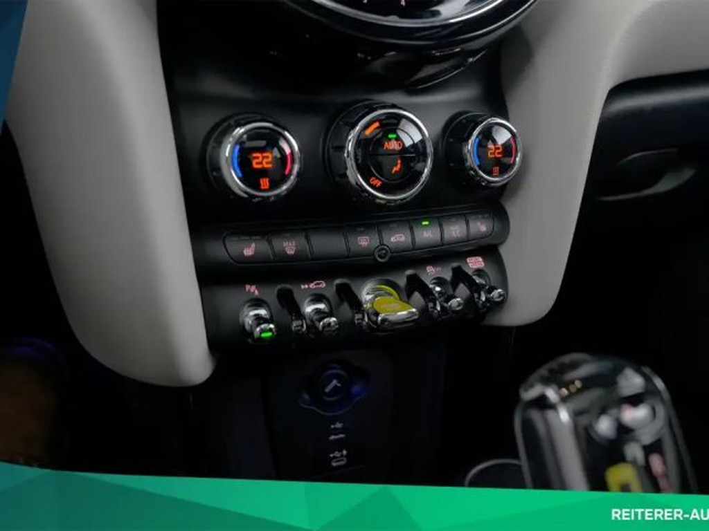 Mini Mini Electric