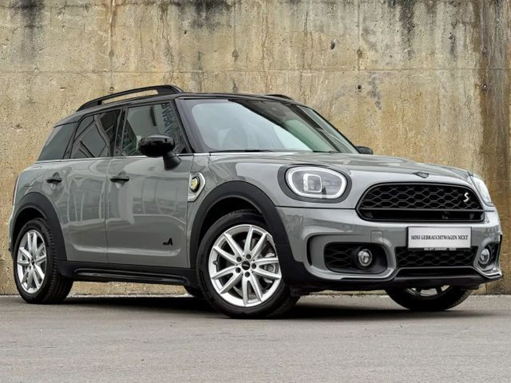 Mini Mini Electric