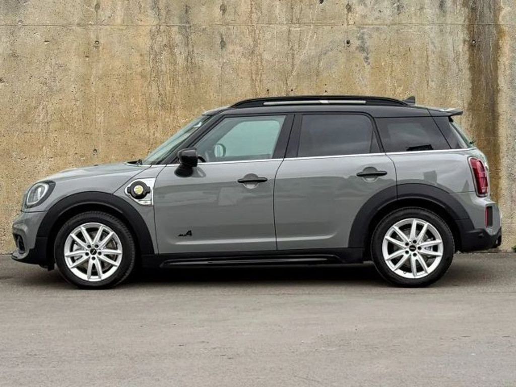 Mini Mini Electric