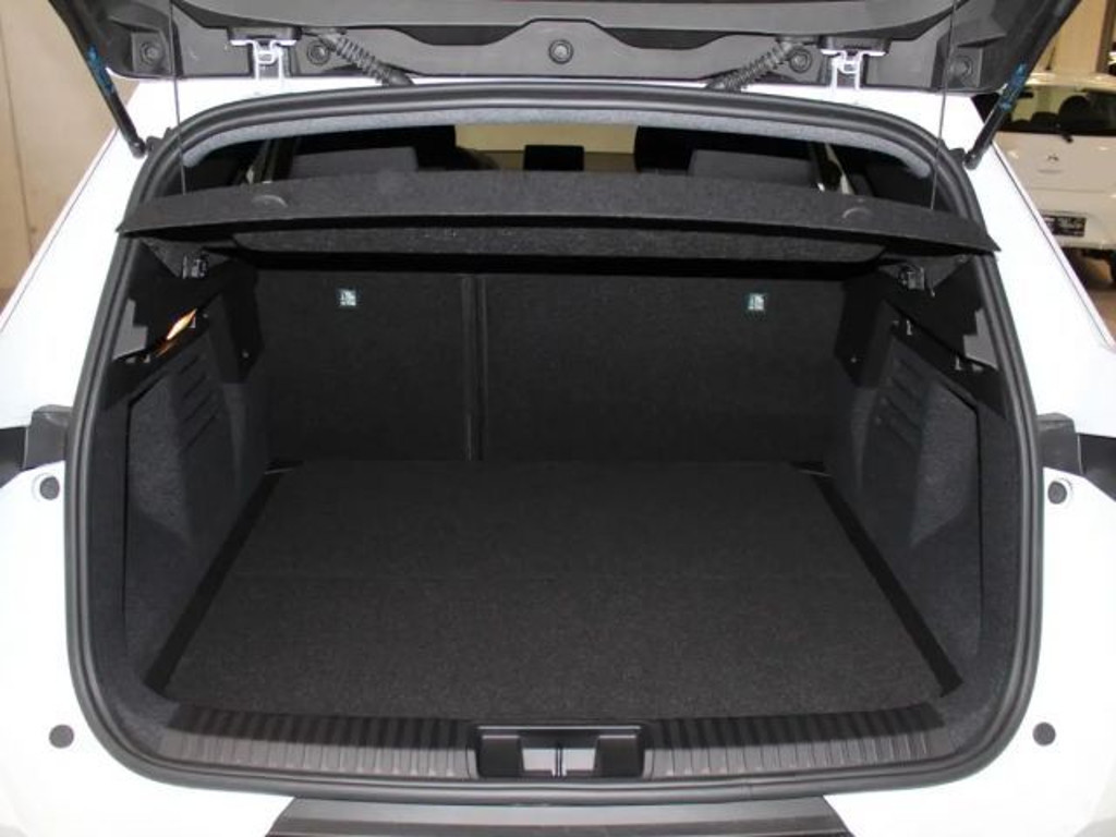Mitsubishi Grandis