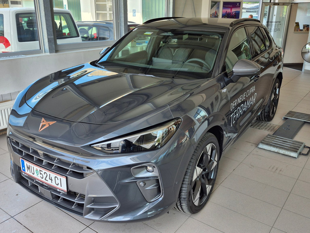Cupra Terramar 1.5 e-TSI 150 PS DSG