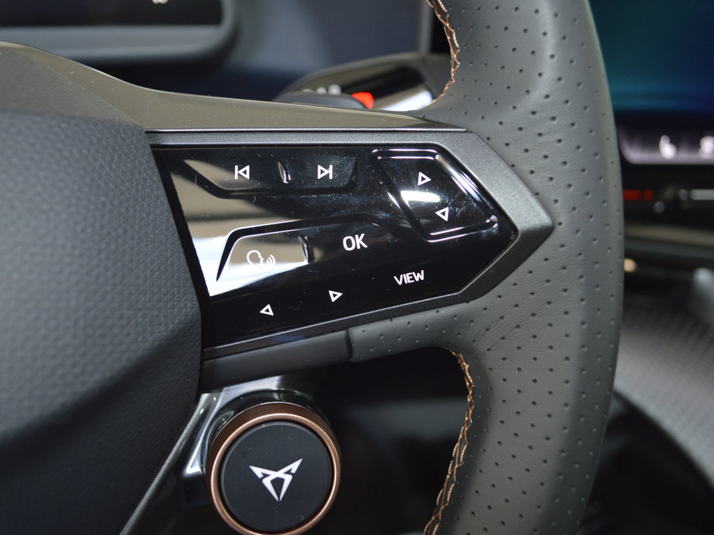 Cupra Tavascan
