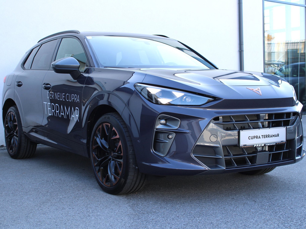 Cupra Terramar