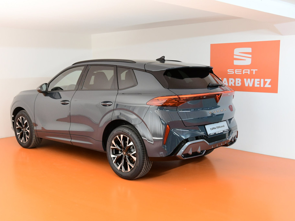 Cupra Terramar