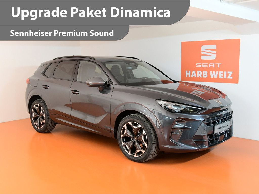 Cupra Terramar 1.5 e-TSI 150 PS DSG