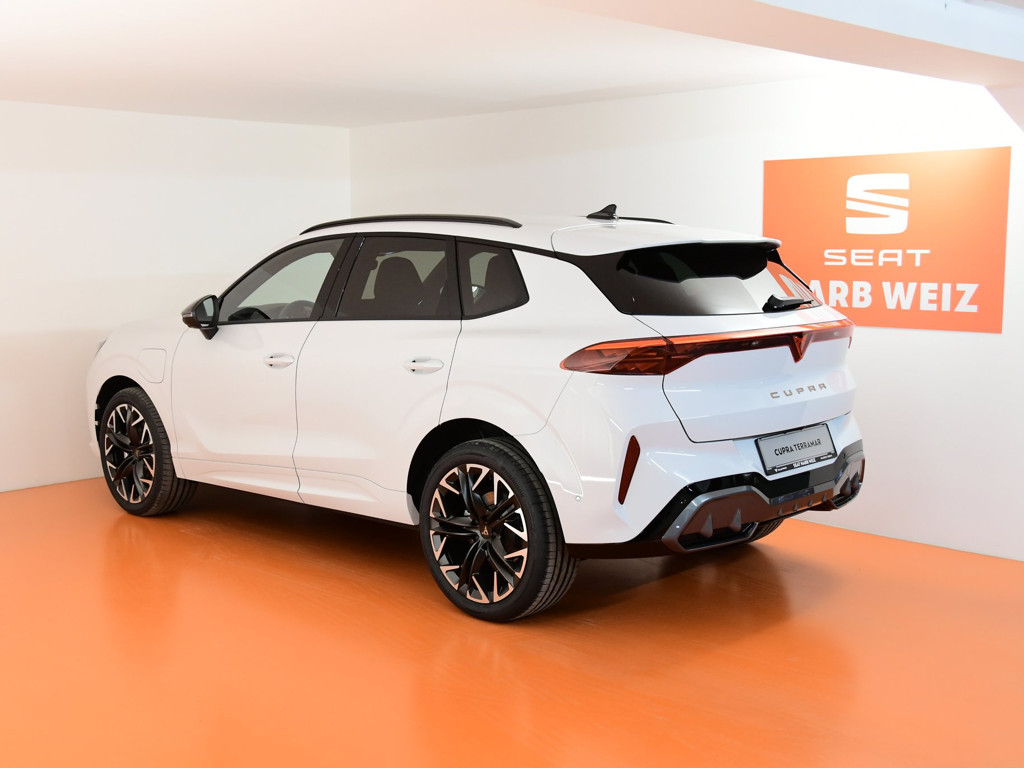 Cupra Terramar