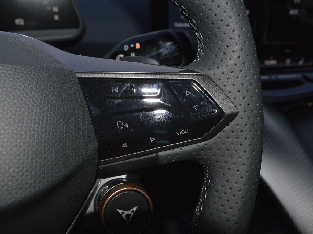 Cupra Tavascan