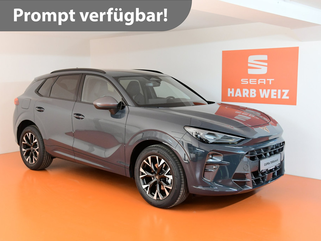 Cupra Terramar 1.5 e-TSI 150 PS DSG